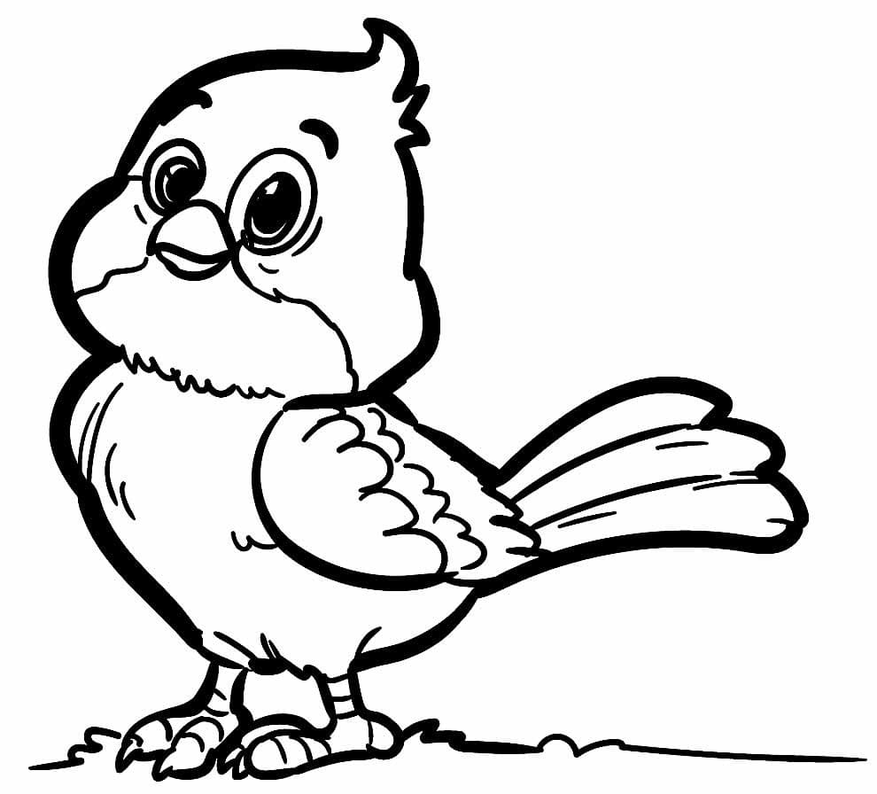 Desenho de um Passarinho Feliz para Colorir e Pintar