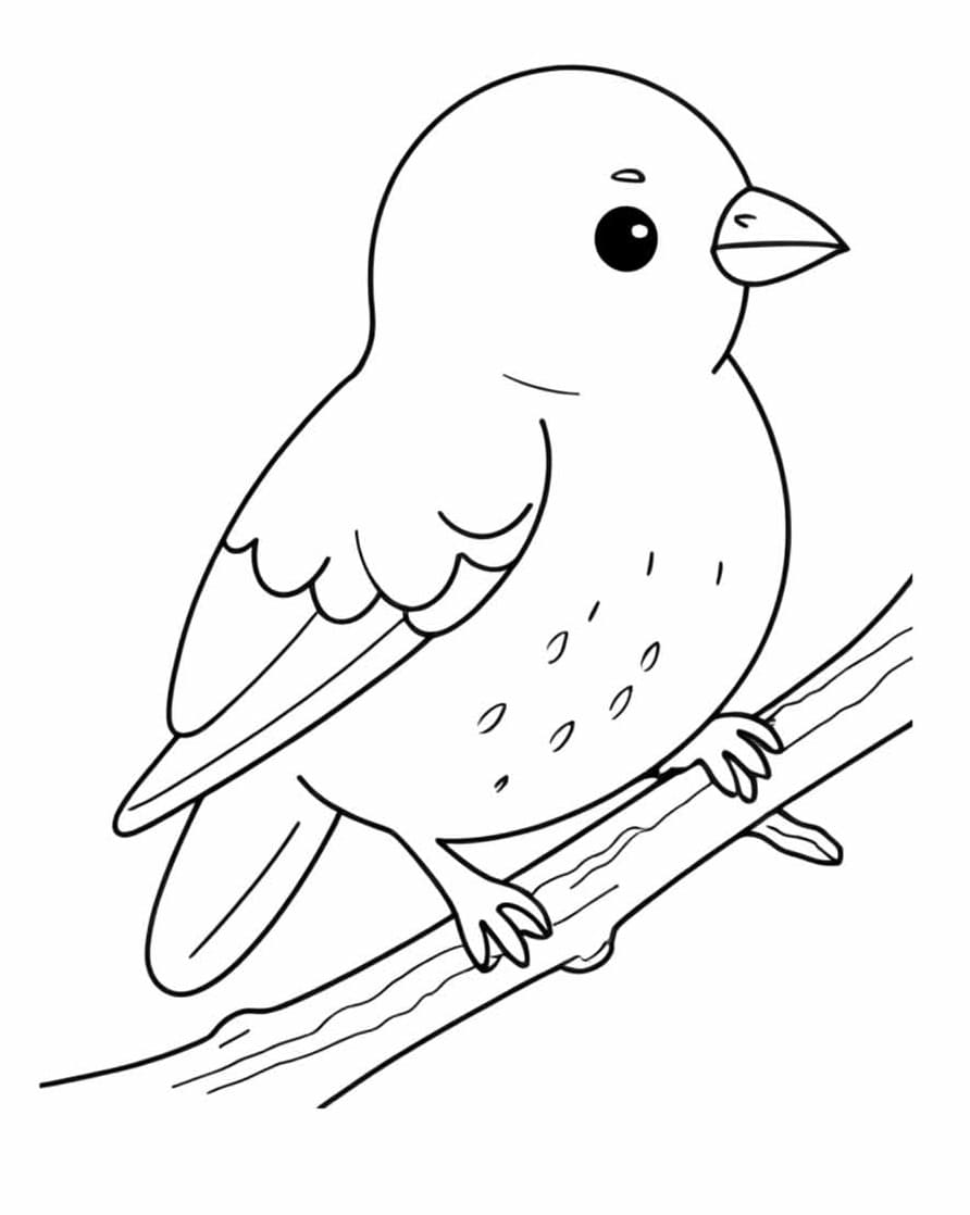 Desenho de um Passarinho Fofo para Colorir e Pintar