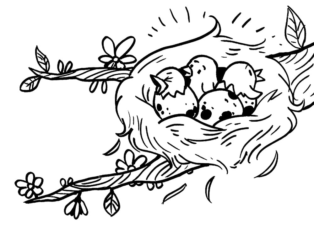 Desenho de Ninho de Pássaro para Colorir e Pintar