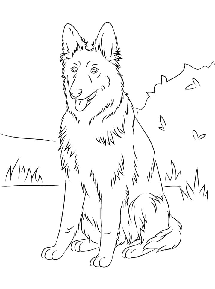 Desenho de Cachorro Pastor Alemão 2 para Colorir e Pintar