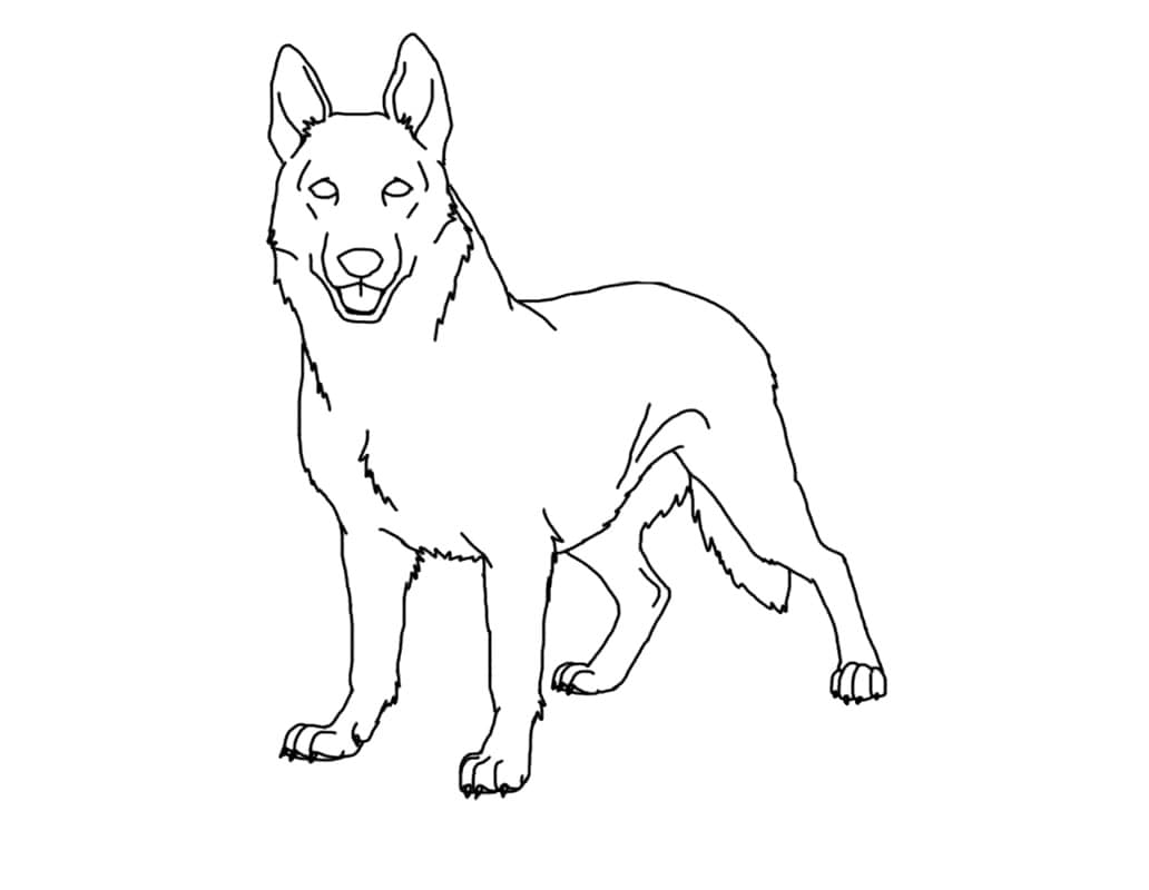 Desenho de Cachorro Pastor Alemão para Colorir e Pintar