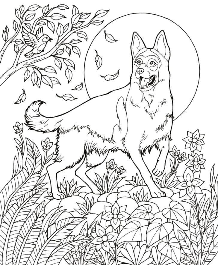 Desenho de Pastor Alemão Normal para Colorir e Pintar