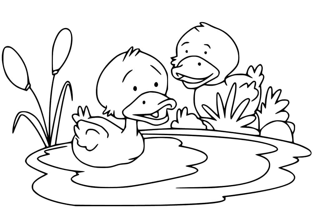 Desenho Dois Patinhos para Colorir e Pintar