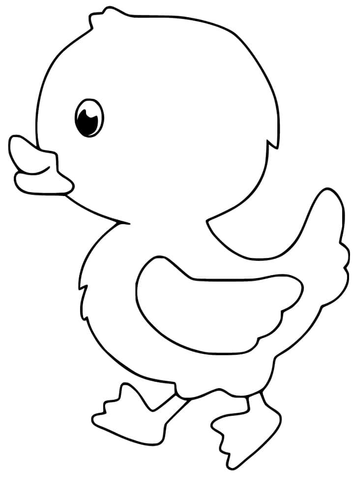 Desenho Lindo Patinho para Colorir e Pintar