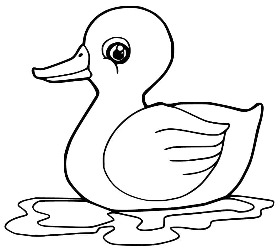 Desenho Patinho Download Pdf para Colorir e Pintar