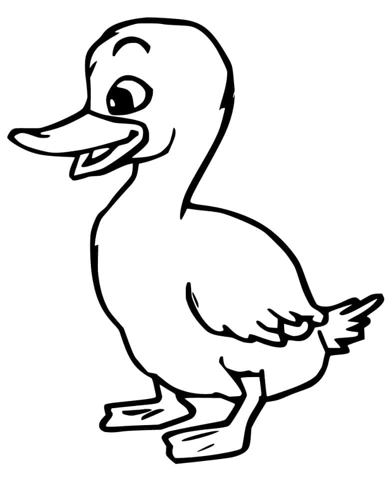 Desenho Patinho para Colorir Giz de Cera e Pintar