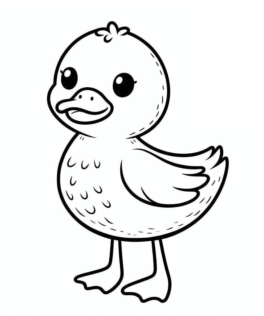 Desenho de Pato Pequeno e Fofo para Colorir e Pintar