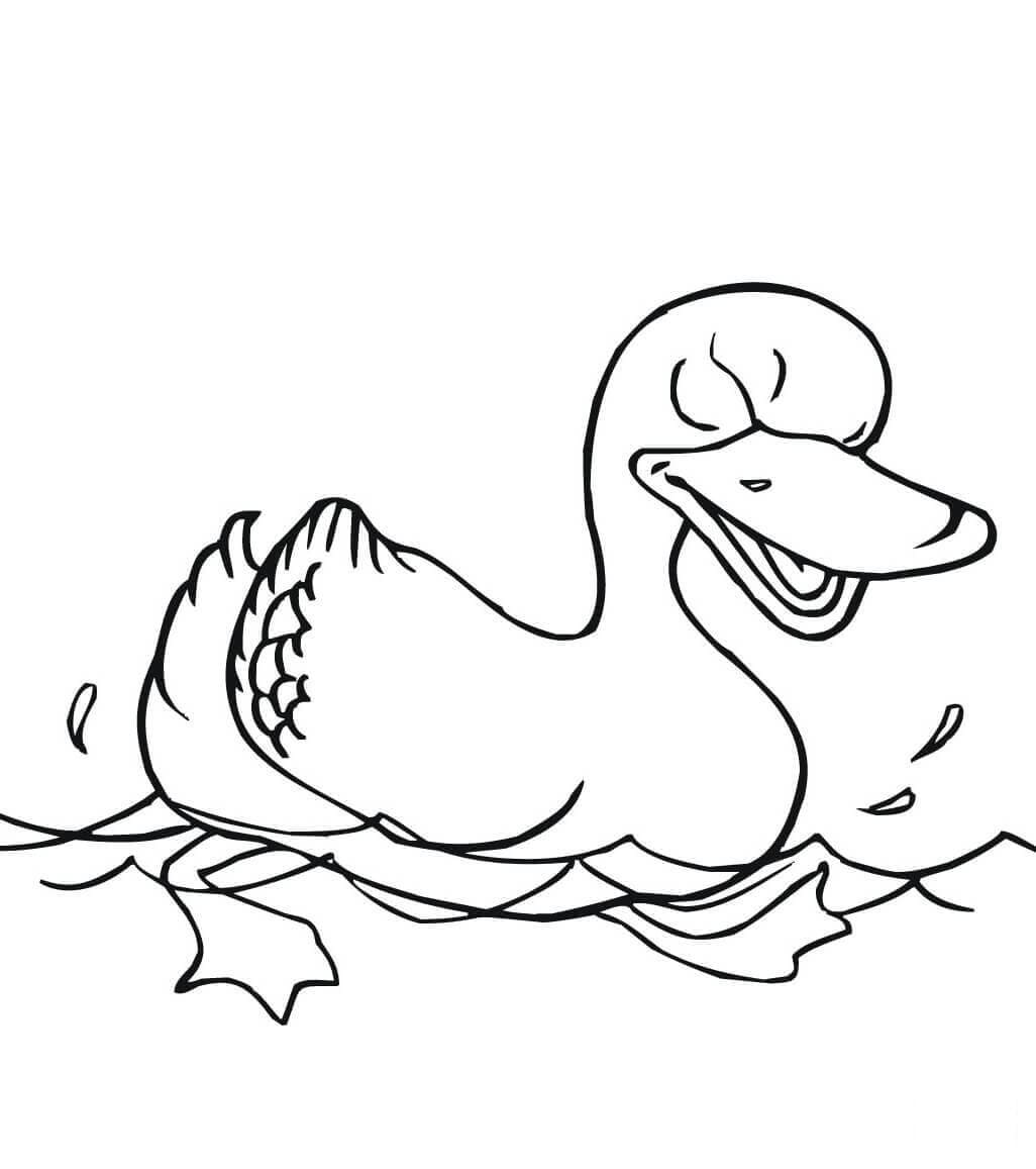 Desenho de Pato Bravo para Colorir e Pintar