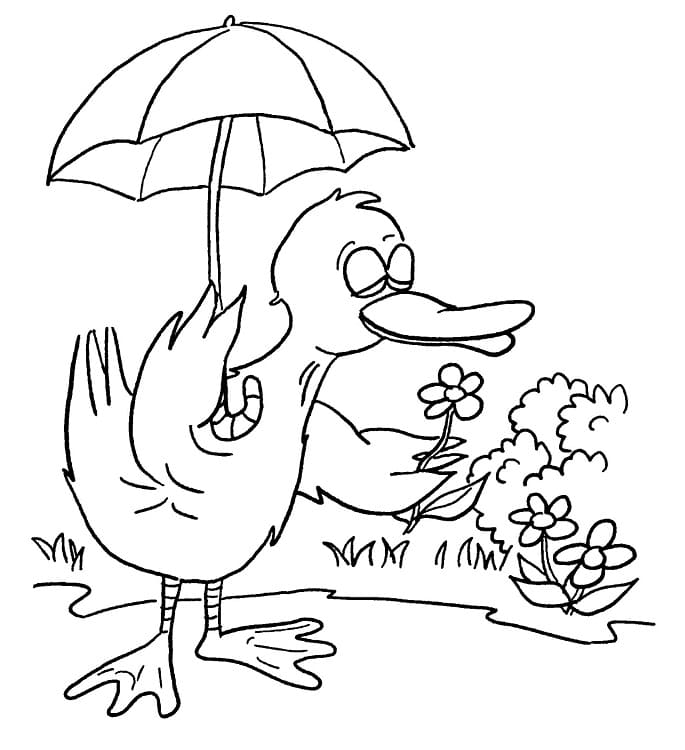 Desenho de Pato Cheirando a Flor para Colorir e Pintar