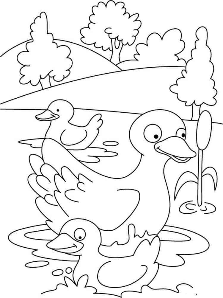 Desenho de Pato e Dois Patinhos para Colorir e Pintar