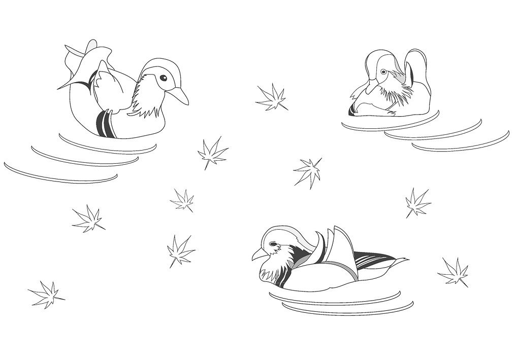 Desenho de Pato para Colorir Pdf Grátis e Pintar