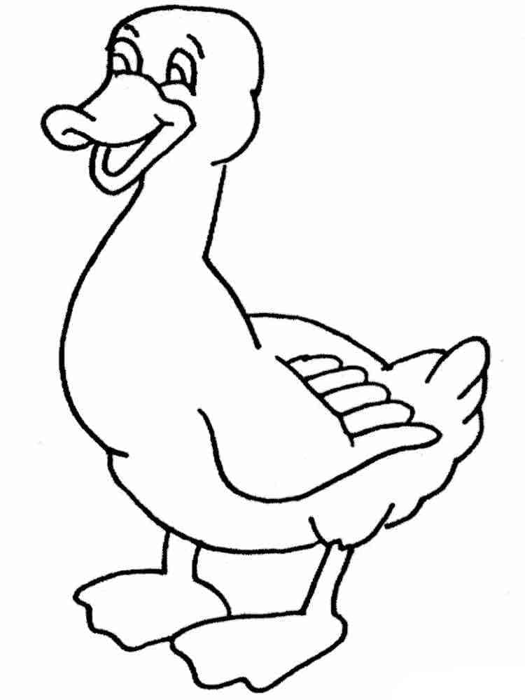 Desenho de Pato para Crianças para Colorir e Pintar