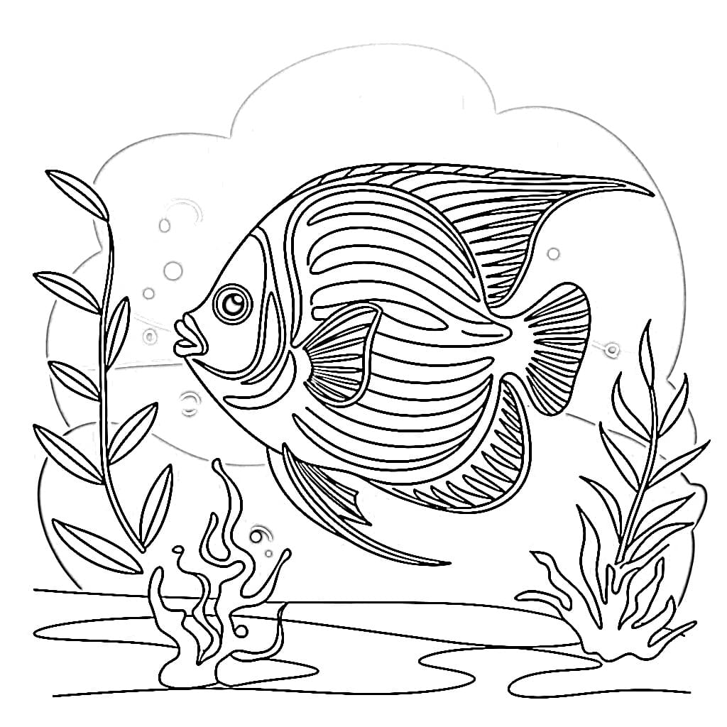 Desenho de Peixe Anjo Marinho para Colorir e Pintar