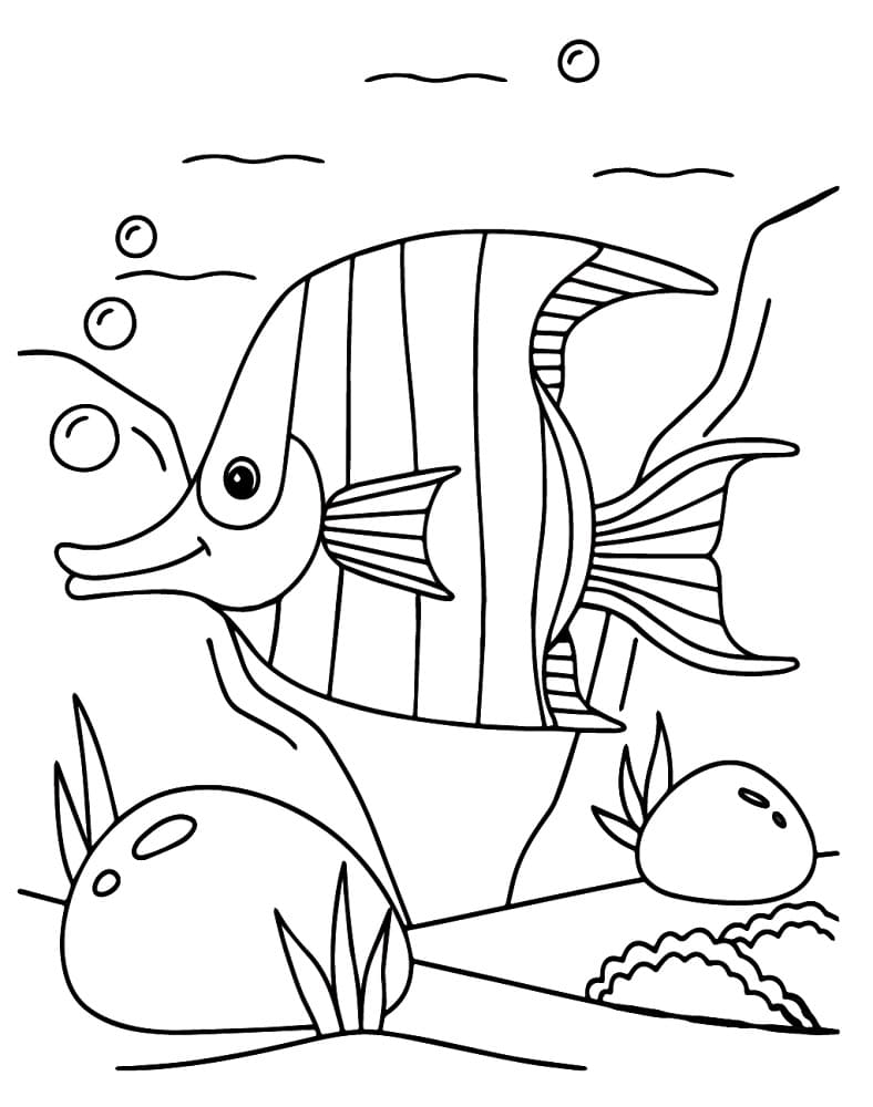 Desenho de Peixe Anjo no Mar para Colorir e Pintar