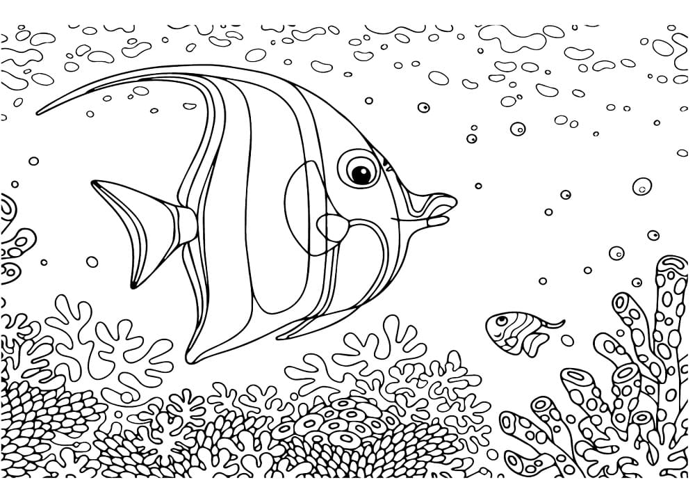 Desenho de Peixe Anjo para Colorir Lápis de Cor e Pintar