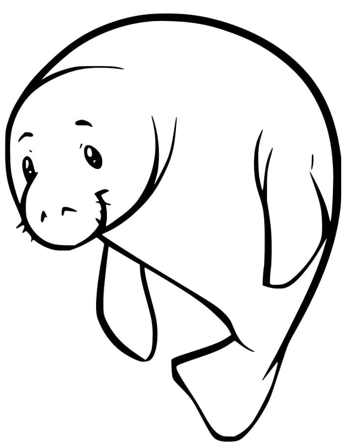 Desenho de Peixe Boi Feliz para Colorir e Pintar