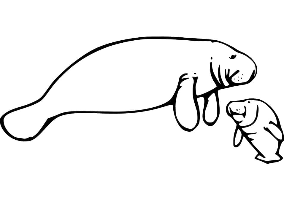 Desenho de Peixe Boi Imprimivel Grátis para Crianças para Colorir e Pintar