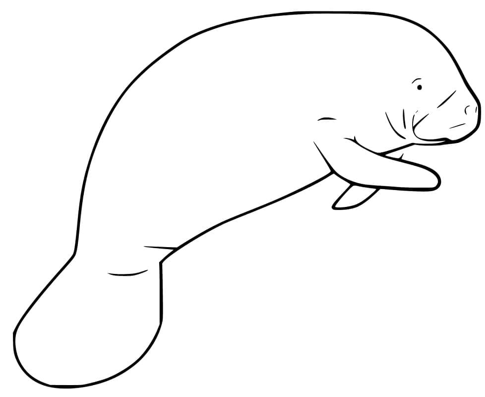 Desenho de Peixe Boi Imprimivel para Crianças para Colorir e Pintar