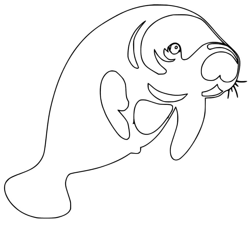 Desenho de Peixe Boi Simples para Colorir e Pintar