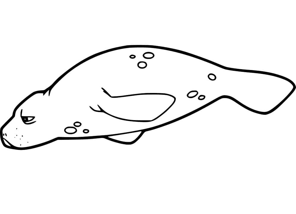 Desenho de Pintura de Peixe Boi para Colorir e Pintar