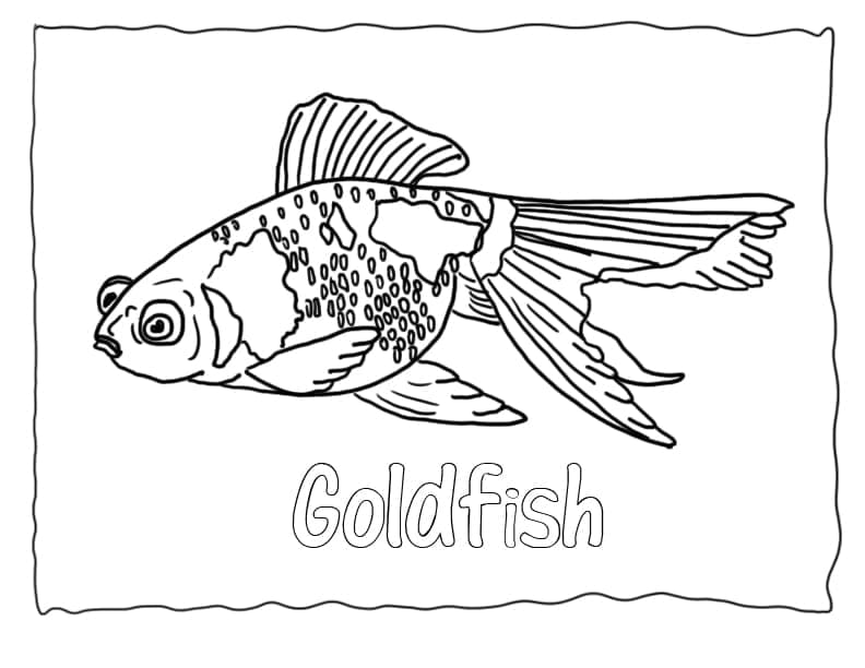 Desenho de Peixinho Dourado Grátis para Crianças para Colorir e Pintar