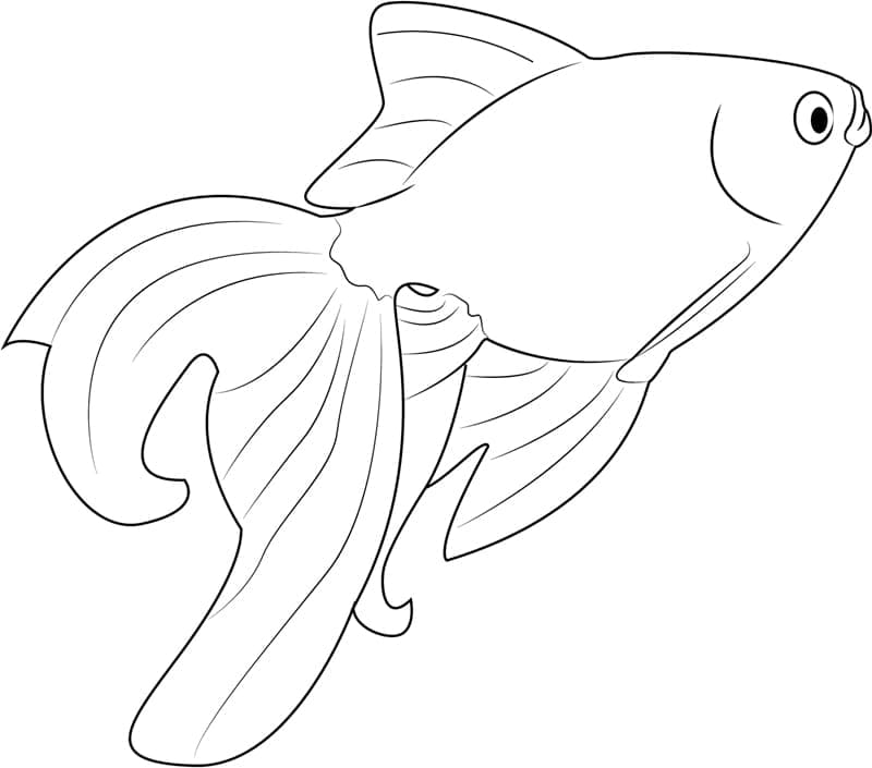 Desenho de Peixinho Dourado Normal para Colorir e Pintar