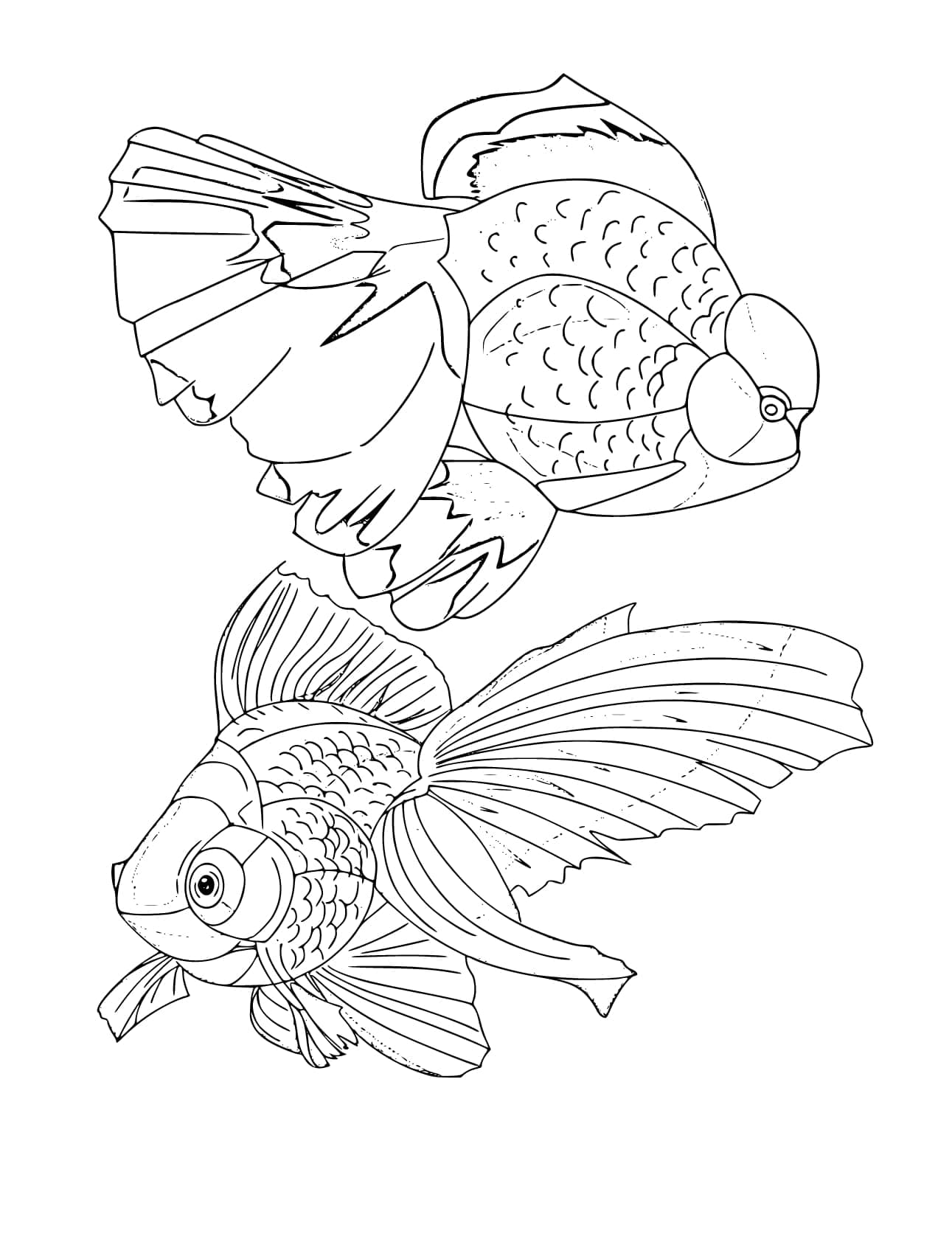 Desenho de Peixinhos Dourados para Colorir e Pintar
