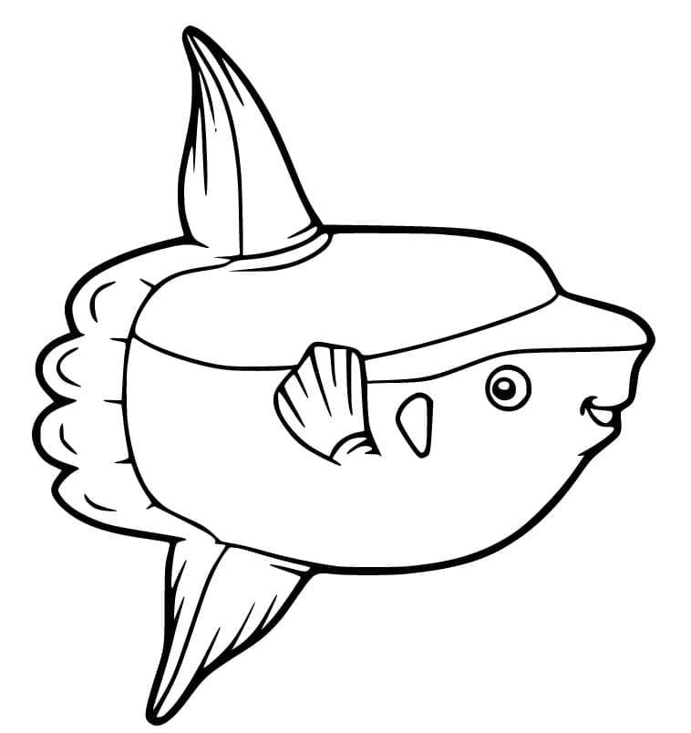 Desenho de Peixe Lua Fofo para Colorir e Pintar