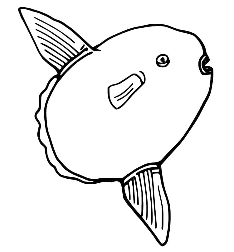 Desenho de Peixe Lua Nadando para Colorir e Pintar