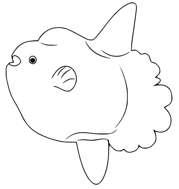 Desenho de Peixe Lua Simples para Colorir e Pintar