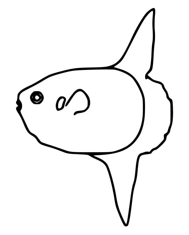 Desenho de um Peixe Lua Fácil para Colorir e Pintar