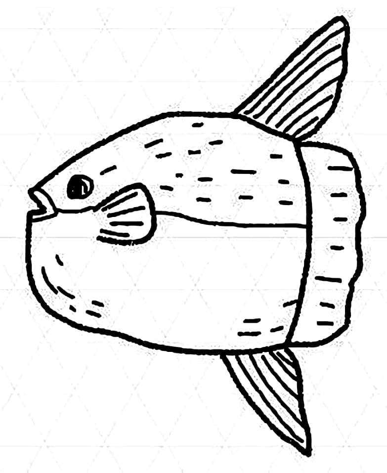 Desenho de um Peixe Lua para Colorir e Pintar
