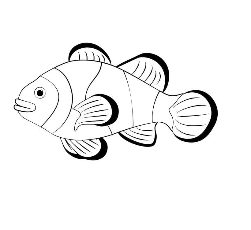 Desenho de Peixe Palhaço Fácil para Colorir e Pintar