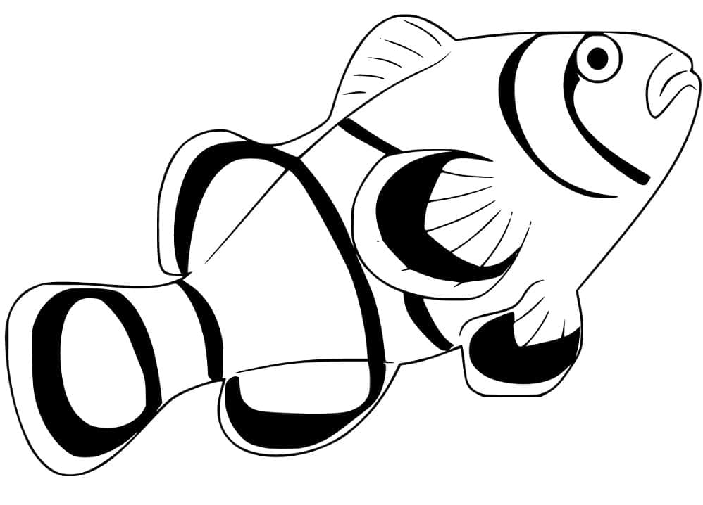 Desenho de Peixe Palhaço para Crianças para Colorir e Pintar