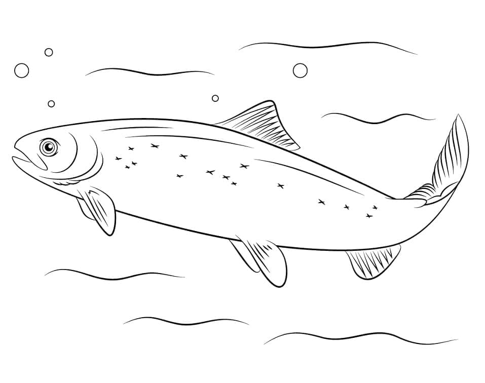 Desenho de Salmão do Atlântico para Colorir e Pintar