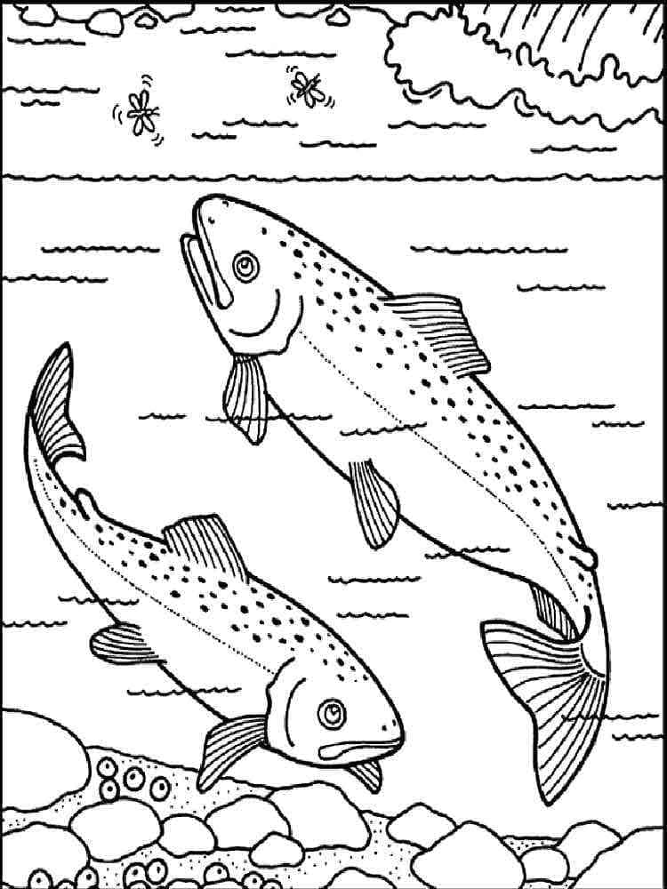Desenho de Dois Salmões para Colorir e Pintar