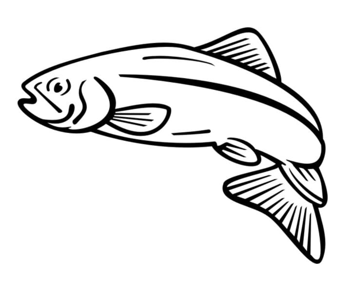 Desenho de Peixe Salmão para Colorir e Pintar