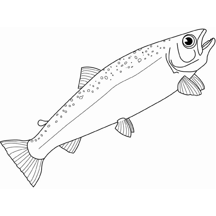Desenho de Salmão Grátis para Crianças para Colorir e Pintar