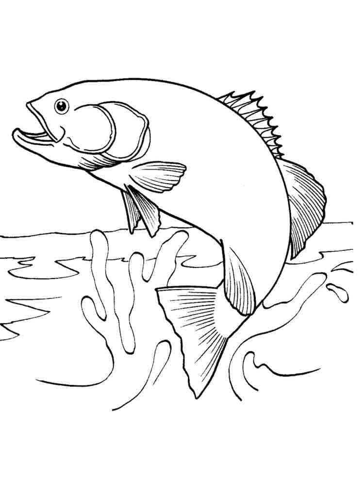 Desenho de Salmão Saltador para Colorir e Pintar