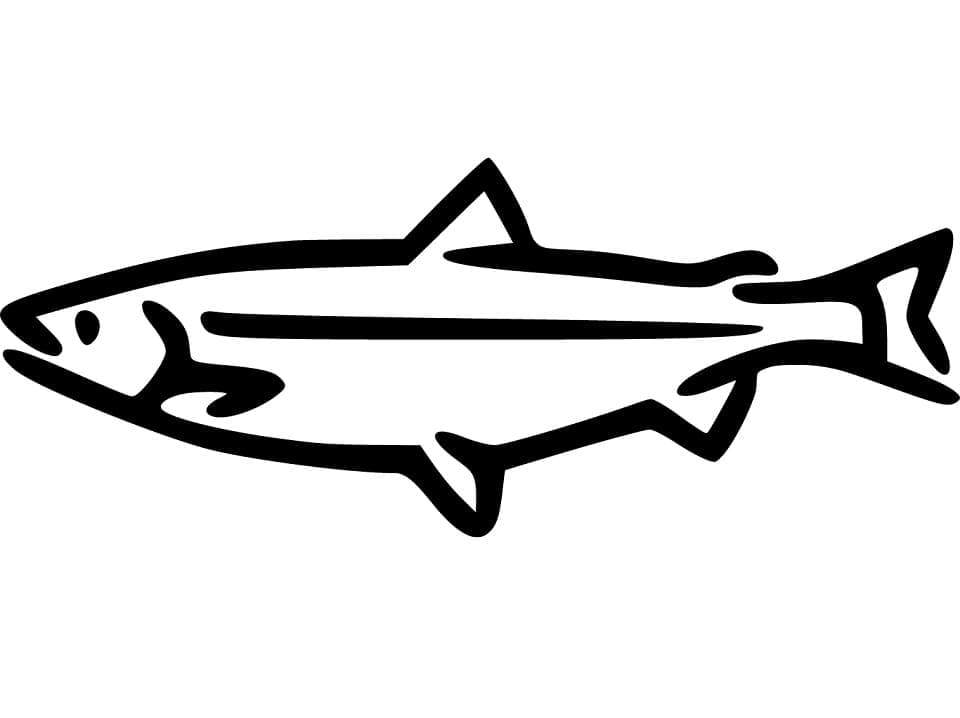 Desenho de Salmão Simples para Colorir e Pintar