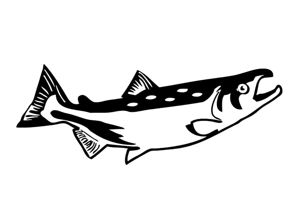 Desenho de um Peixe Salmão para Colorir e Pintar
