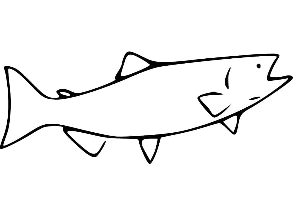 Desenho Simples de Peixe Salmão para Colorir com Giz de Cera e Pintar