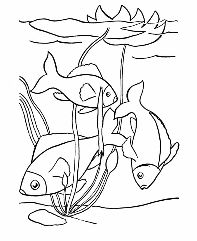 Desenho de Imagem de Peixes para Colorir e Pintar