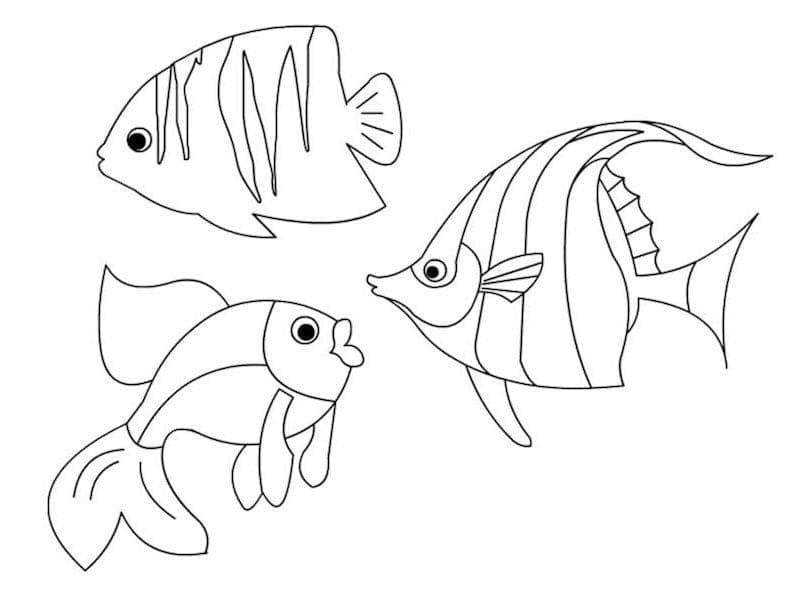 Desenho de Peixes Simples para Colorir e Pintar
