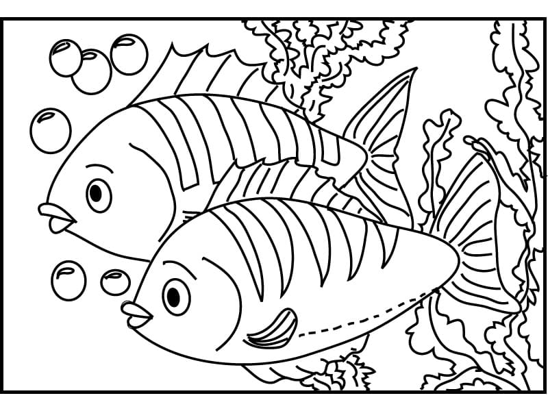 Desenho de Peixes para Colorir e Pintar