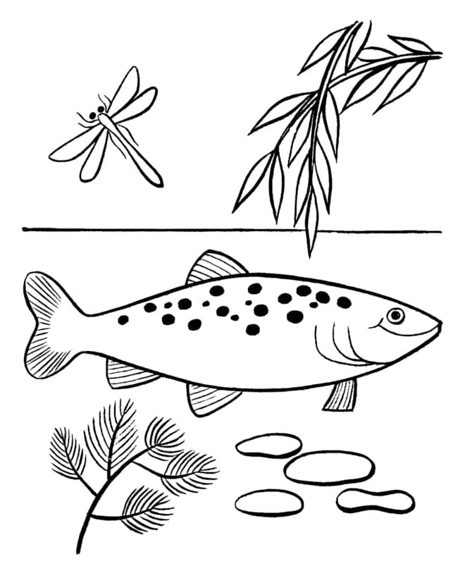 Desenho de um Peixe Nadador para Colorir e Pintar
