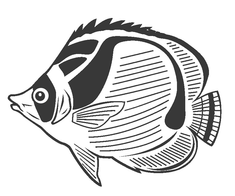 Desenho de Peixe Borboleta para Colorir e Pintar