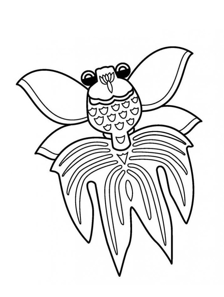 Desenho de Peixe de Água Doce para Colorir e Pintar