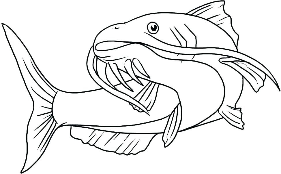 Desenho para Baixar de Peixe Fácil de Desenhar e Pintar
