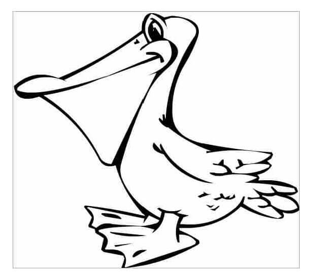 Desenho de Pelicano Imprimivel para Imprimir e Colorir e Pintar